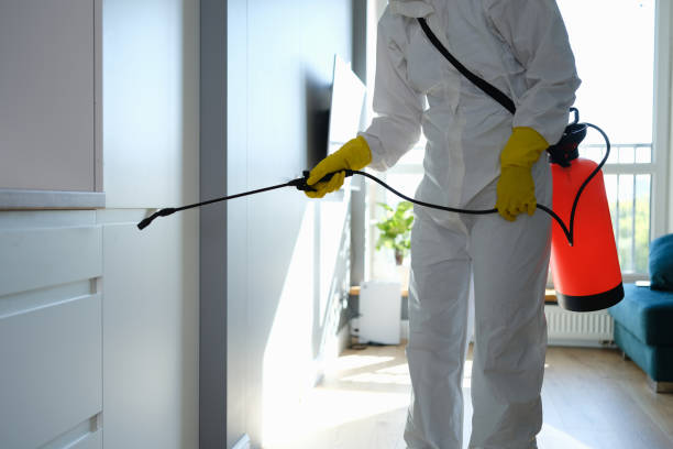 Best Mold Removal Specialists  in Ackerman, MS