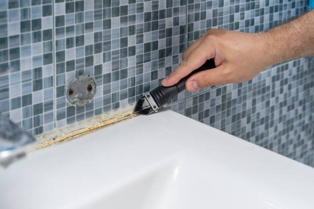 Best Toxic Mold Removal  in Ackerman, MS