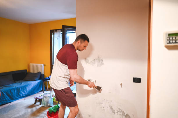 Best Mold Removal and Inspection  in Ackerman, MS