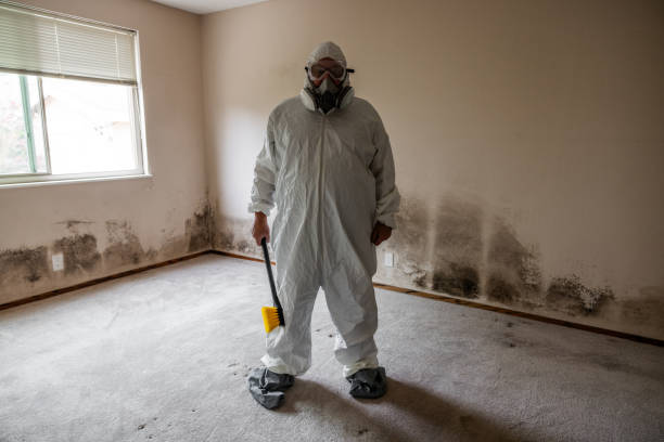 Best Mold Cleaning Services  in Ackerman, MS